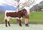 IMG 7040