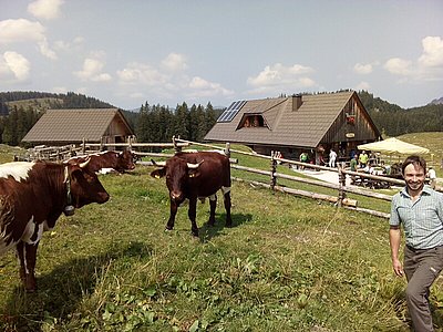 Das schönes Almgebiet auf der Rückseite des Ötschers ist auch als Wandergebiet beliebt!