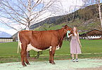 IMG 6953