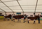 IMG 1385