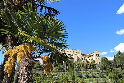 Exotisch anmutend - die Gärten von Schloss Trautmannsdorff!