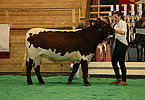 IMG 3228