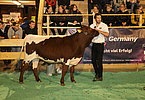 IMG 3588