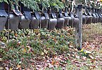 Herbstviehschau 3