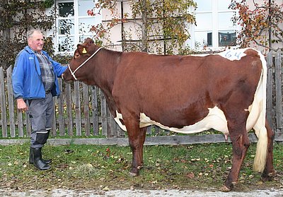 Der Stoanabauer bleibt uns in Erinnerung - als ein stolzer Bauer und Rinderzüchter!