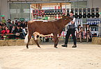 IMG 0480