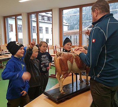 Mathias Kinberger zeigte ins Innenleben einer Kuh!