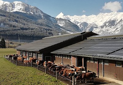 Traumhafte Konstraste am Schüttgut in Zell/See!