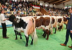 IMG 6460