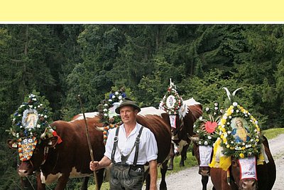 News Titelbild