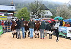 Die perfekten Auftritte der LFS-Schüler beweisen nicht nur guten Umgang, sondern auch fleißiges Training!