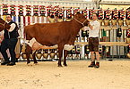 IMG 0291