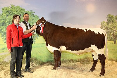 Gesamtsiegerin SYDNEY (V.Benedikt) mit Melanie und Horst Schnitzer, Feldkirchen