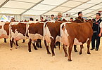 IMG 0127