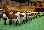 IMG 3241