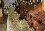 IMG 7769