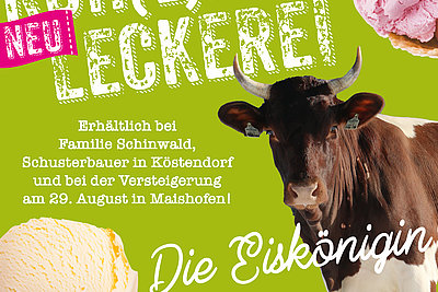 News Titelbild