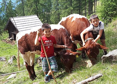 Markus Modl schickte uns das herzige Bild seiner Buben Tobias und Manuel, die sich über das Wiedersehen auf der Walderalm in Feld am See/Ktn. sichtlich freuen!