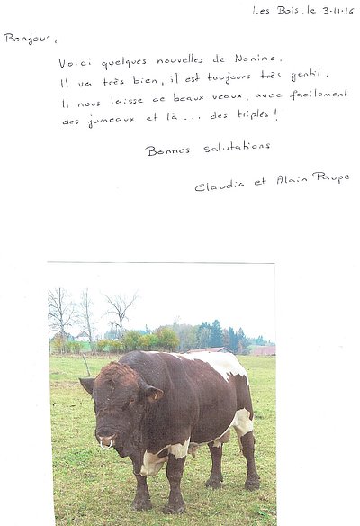 Der Brief von Claudia und Alain Paupe mit Bild von Nonino!