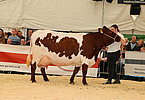 IMG 0216