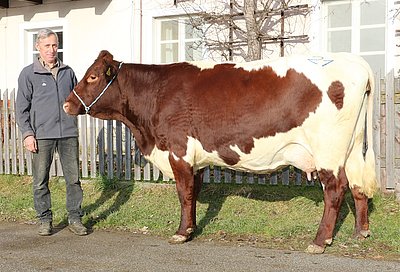 MOASTER (V.Ringo) von Franz Fuchs, Schieder, Mittersill