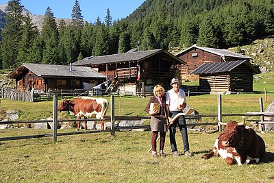 Ihre sommerliche Lebens- und Arbeitsgrundlage - die Jaidbachalm und die Pinzgauer-Herde, welche den wertvollen Käse-Rohstoff liefert! Den speziellen "Granit-Löffel" aus Zirbenholz hat Toni eigens für die Parmesanerzeugung angefertigt!