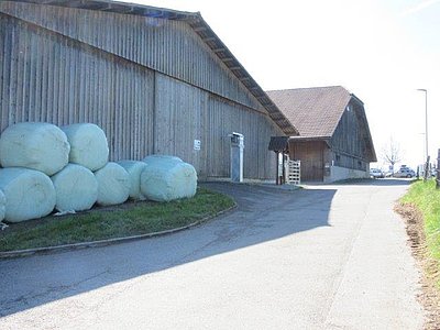 Hinteransicht von Juraweid