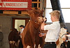 IMG 0618