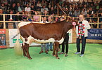 IMG 6331