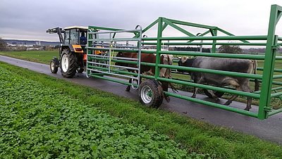 Auch den Treibewagen-Test bestand sie vorzüglich!