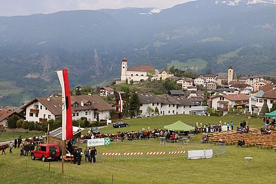 Nach 30 Jahren wieder im Zeichen einer Pinzgauer-Rinderschau - Lajen am Eingang zum Grödental!