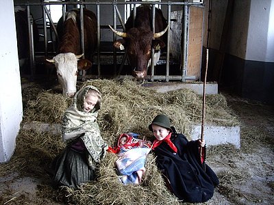 Zur Weihnachtszeit darf der Stall an die Krippe erinnern - Georgs Wendlinger Kinder mit passendem Hintergrund!
