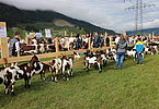 IMG 0713