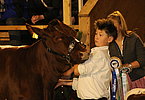 IMG 3431