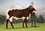 61 Egger Figler
