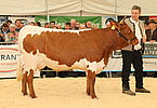 IMG 0048