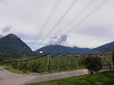 Apfelanlage im Lienzer Talboden!