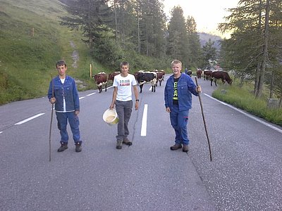 Erfolgreicher Treiber - Jakob Pichelstorfer, Stefan Hofer und Hannes Lerch waren mit Freude und Eifer bei der Sache!