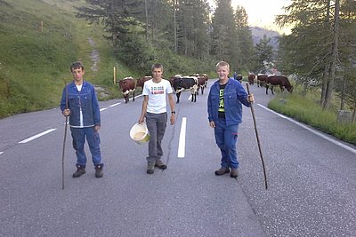 News Titelbild