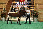 IMG 3161
