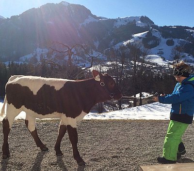 Anton Oberhauser vom Unterleitenhof in Kitzbühel wird auch bei der Tiroler Landesschau sein Kälbchen Nagei vorstellen