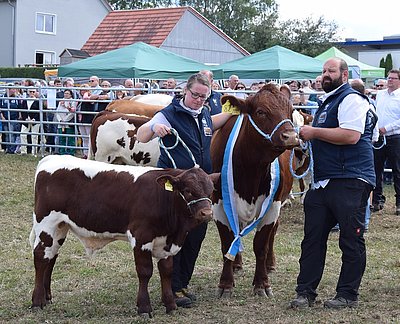 Souveräne Rassesiegerin UE Fenke mit Bastian-Kalb von Norbert Uebler