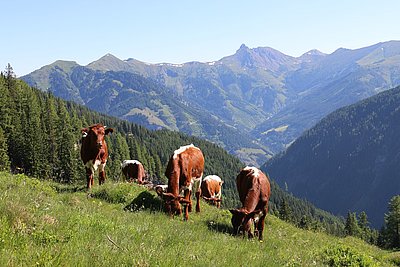 Und die ersten Anblicke unbedingt erfreulich!