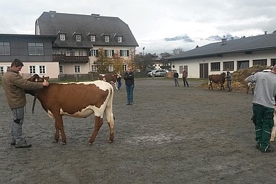 News Titelbild