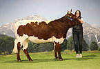 131 Riedlsperger Hinterwinkl