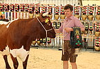 IMG 0062