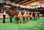 IMG 5919