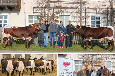 News Titelbild