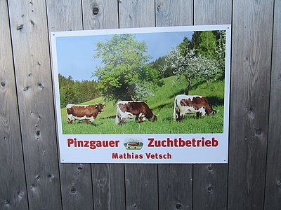 Pinzgauerzüchter mit Begeisterung, das zeigt auch die Hoftafel bei Mathias Vetsch.