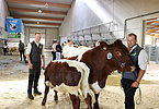 IMG 2881